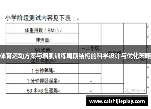 体育运动方案与增肌训练周期结构的科学设计与优化策略