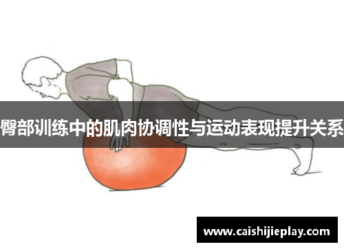 臀部训练中的肌肉协调性与运动表现提升关系