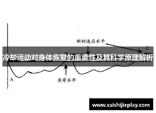 冷却运动对身体恢复的重要性及其科学原理解析